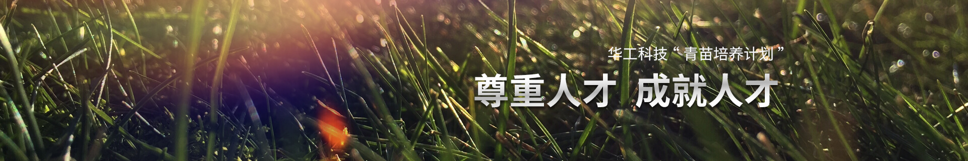 ���ŵ�ƽ̨ ����������ռ�